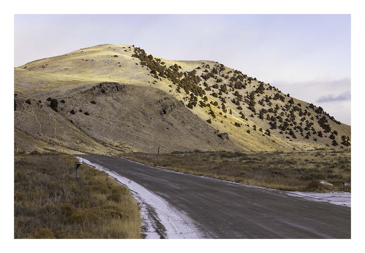 National Elk Refuge